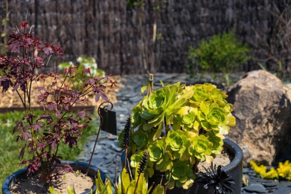Jardin - La Maison de Jean, gîte cosy entre terre et mer - Milizac, Finistère